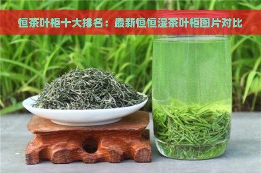 恒茶叶柜十大排名：最新恒恒湿茶叶柜图片对比