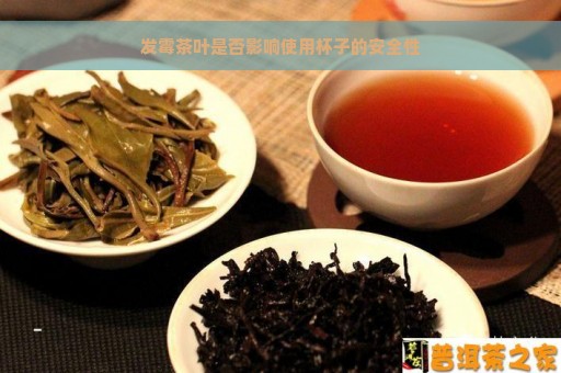 发霉茶叶是否影响使用杯子的安全性