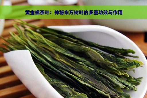 黄金螺茶叶：神秘东方树叶的多重功效与作用