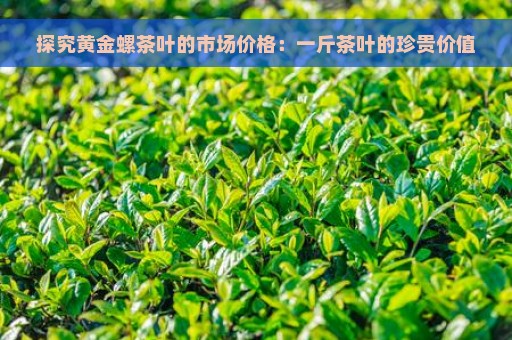 探究黄金螺茶叶的市场价格：一斤茶叶的珍贵价值