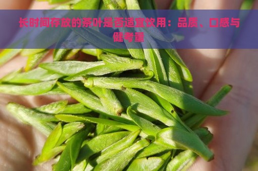 长时间存放的茶叶是否适宜饮用：品质、口感与健考量