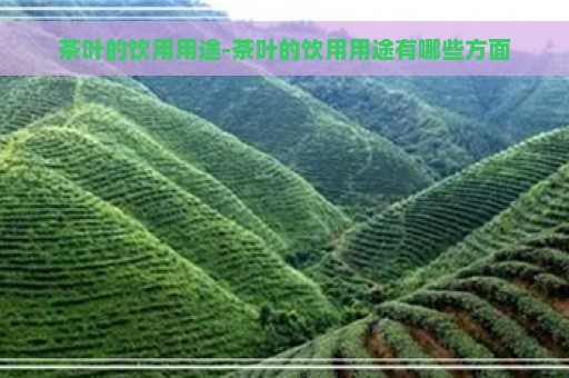 茶叶的饮用用途-茶叶的饮用用途有哪些方面