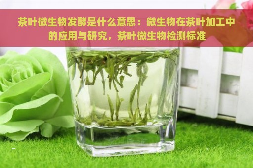 茶叶微生物发酵是什么意思：微生物在茶叶加工中的应用与研究，茶叶微生物检测标准