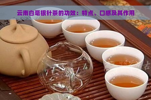 云南白毫银针茶的功效：特点、口感及其作用