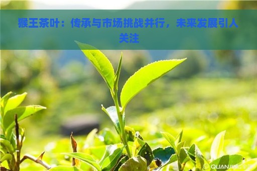 猴王茶叶：传承与市场挑战并行，未来发展引人关注