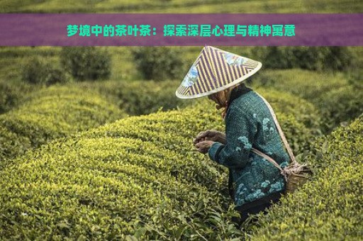 梦境中的茶叶茶：探索深层心理与精神寓意