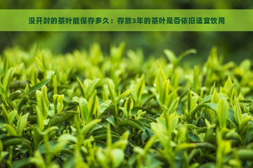 没开封的茶叶能保存多久：存放3年的茶叶是否依旧适宜饮用