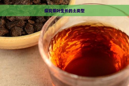 探究茶叶生长的土类型