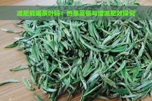 减肥能喝茶叶吗：热量高低与增减肥效探究