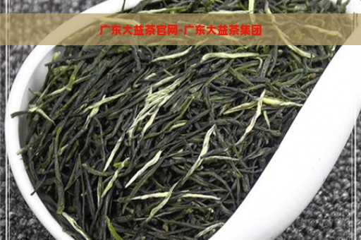 广东大益茶官网-广东大益茶集团