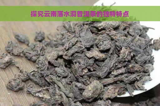 探究云南落水洞普洱茶的独特特点