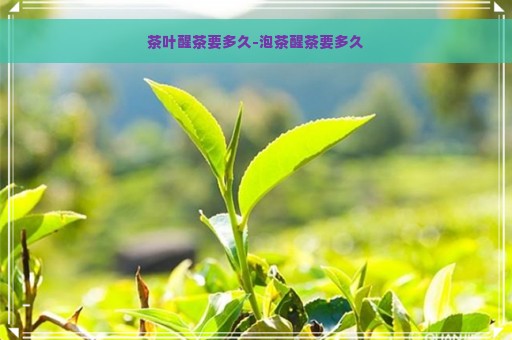 茶叶醒茶要多久-泡茶醒茶要多久