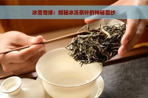 冰雪奇缘：揭秘冰冻茶叶的神秘面纱