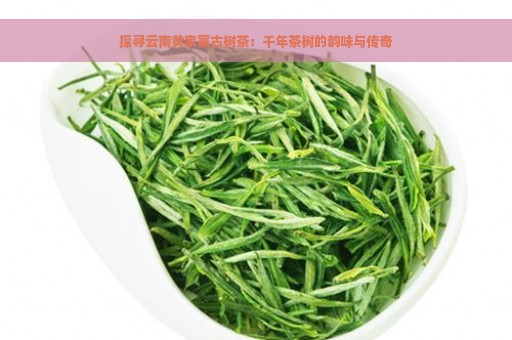 探寻云南黄家寨古树茶：千年茶树的韵味与传奇