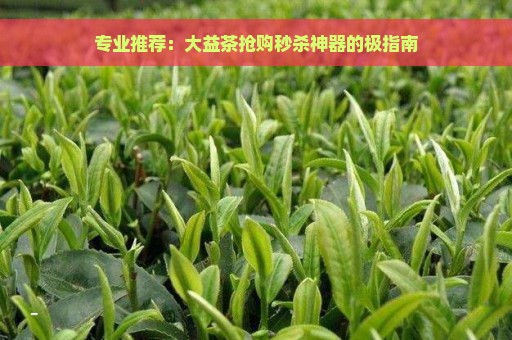 专业推荐：大益茶抢购秒杀神器的极指南