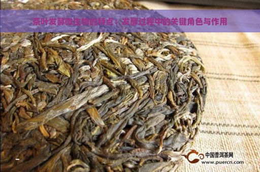 茶叶发酵微生物的特点：发酵过程中的关键角色与作用