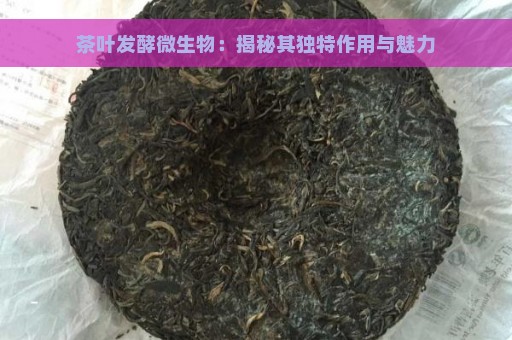 茶叶发酵微生物：揭秘其独特作用与魅力