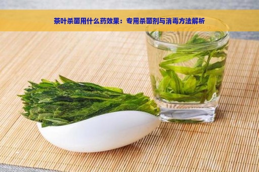 茶叶杀菌用什么药效果：专用杀菌剂与消毒方法解析