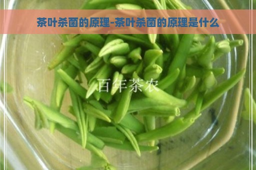 茶叶杀菌的原理-茶叶杀菌的原理是什么