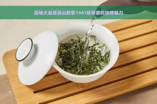 探秘大益茶高山韵象1901批熟茶的独特魅力