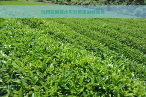 饮用变质茶水可能带来的健风险