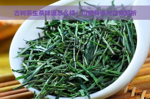 古树茶生茶味道怎么样：口感特点与功效解析