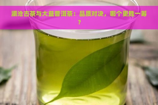 澜沧古茶与大益普洱茶：品质对决，哪个更胜一筹？