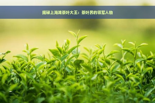 揭秘上海滩茶叶大王：茶叶界的领军人物