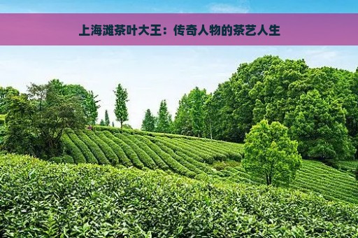 上海滩茶叶大王：传奇人物的茶艺人生