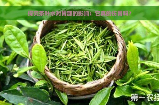 探究茶叶水对胃部的影响：它真的伤胃吗？