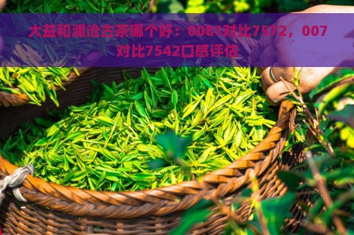 大益和澜沧古茶哪个好：0081对比7572，007对比7542口感评估