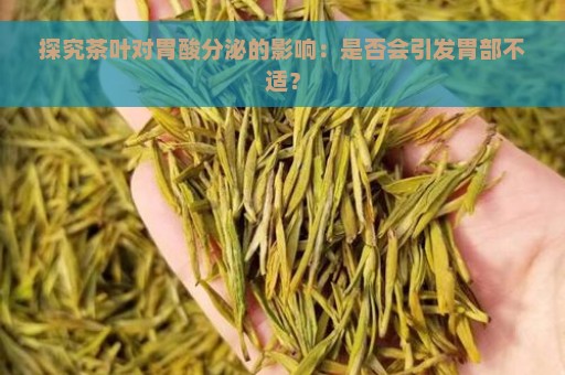 探究茶叶对胃酸分泌的影响：是否会引发胃部不适？