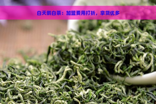 白天鹅白茶：加盟费用打折，拿货优多