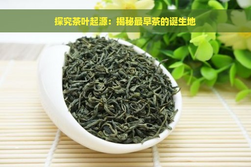 探究茶叶起源：揭秘最早茶的诞生地