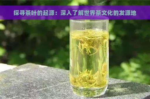 探寻茶叶的起源：深入了解世界茶文化的发源地