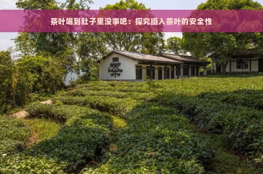 茶叶喝到肚子里没事吧：探究摄入茶叶的安全性