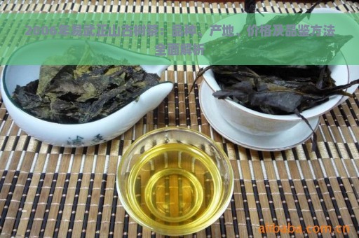 2006年易武正山古树茶：品种、产地、价格及品鉴方法全面解析