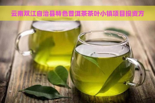 云南双江自治县特色普洱茶茶叶小镇项目投资方