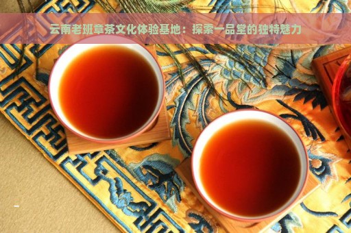 云南老班章茶文化体验基地：探索一品堂的独特魅力