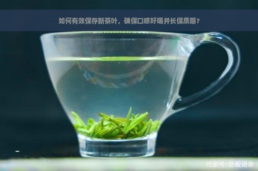 如何有效保存新茶叶，确保口感好喝并长保质期？