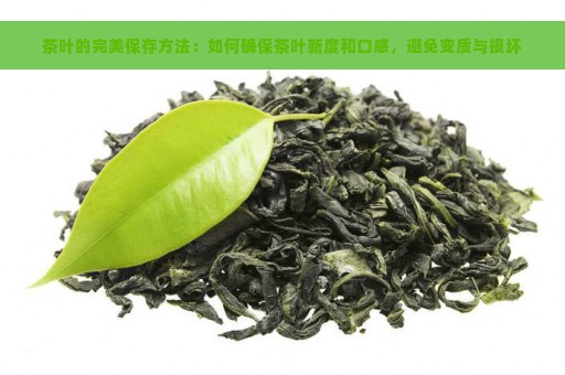 茶叶的完美保存方法：如何确保茶叶新度和口感，避免变质与损坏