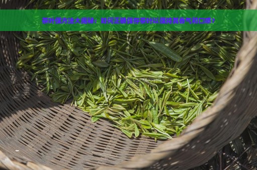 茶叶保方法大揭秘：如何正确保存茶叶以保持其香气和口感？
