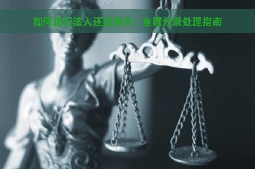 如何进行法人还款操作：全面分录处理指南