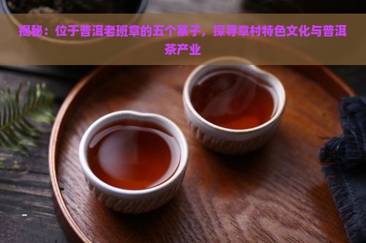 揭秘：位于普洱老班章的五个寨子，探寻章村特色文化与普洱茶产业