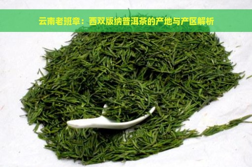 云南老班章：西双版纳普洱茶的产地与产区解析