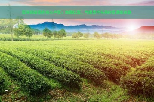 探寻班章茶的核心产区：地理位置、气候条件与茶叶品质的关联
