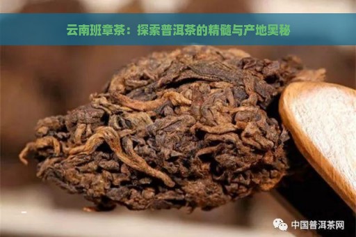 云南班章茶：探索普洱茶的精髓与产地奥秘