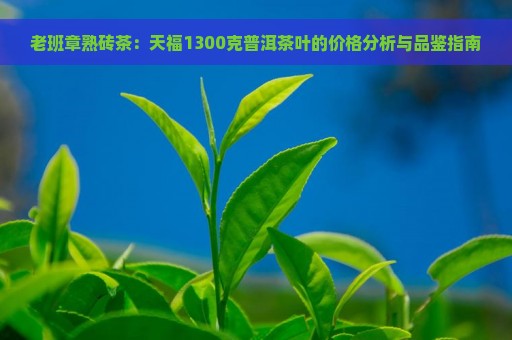 老班章熟砖茶：天福1300克普洱茶叶的价格分析与品鉴指南