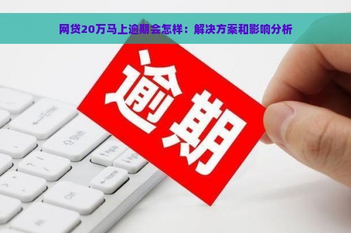 网贷20万马上逾期会怎样：解决方案和影响分析