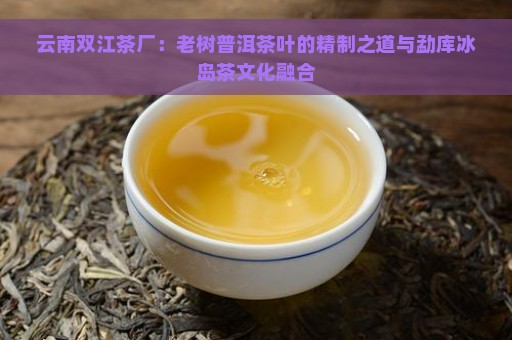 云南双江茶厂：老树普洱茶叶的精制之道与勐库冰岛茶文化融合